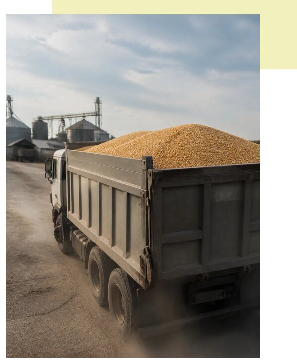 Перевозка сельхозпродукции навалом в Кимры по цене от 3132 р. | Агросервис-Кмы